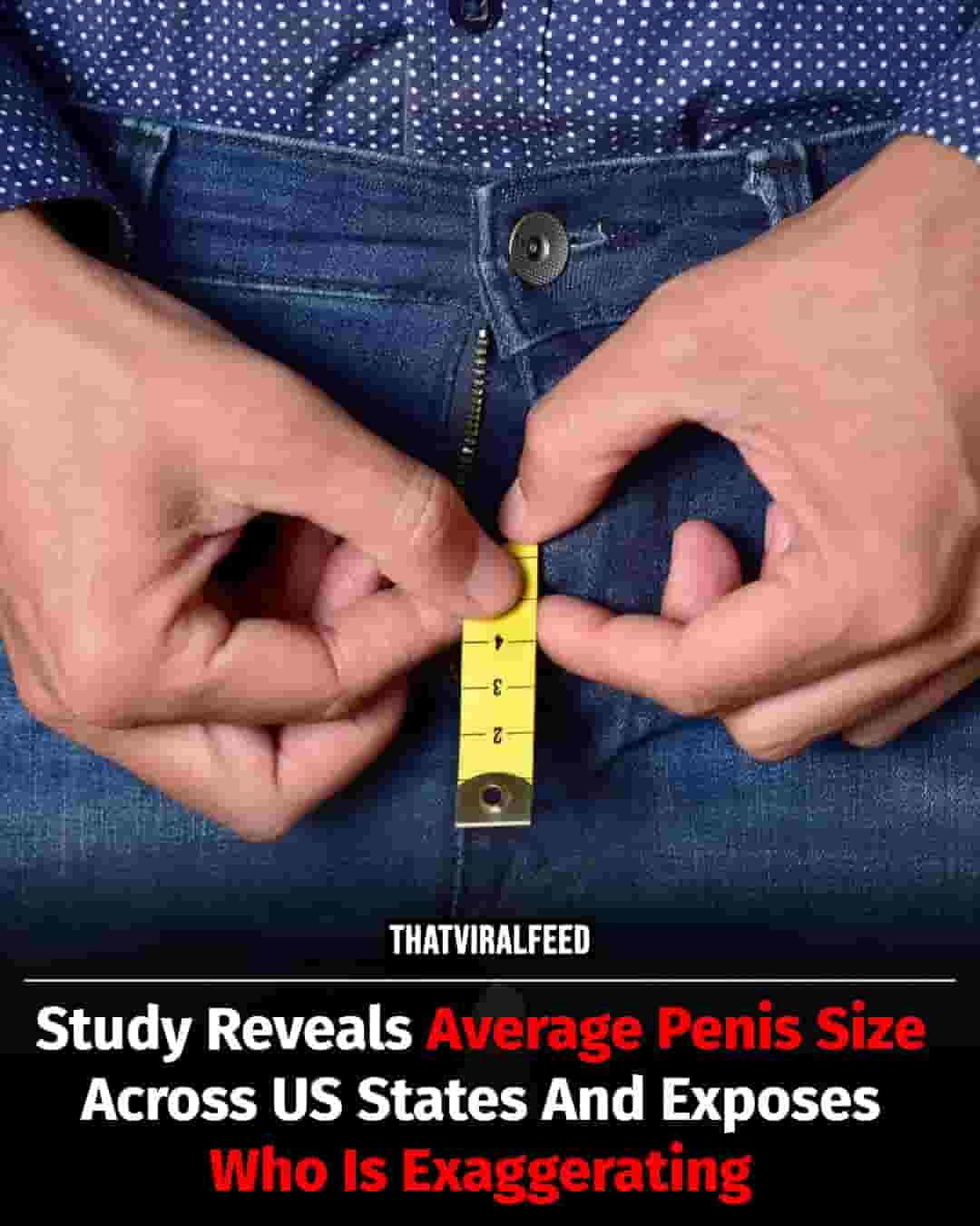 Study Reveals Average Penis Size By State And Who's Likely To Stretch The Truth
