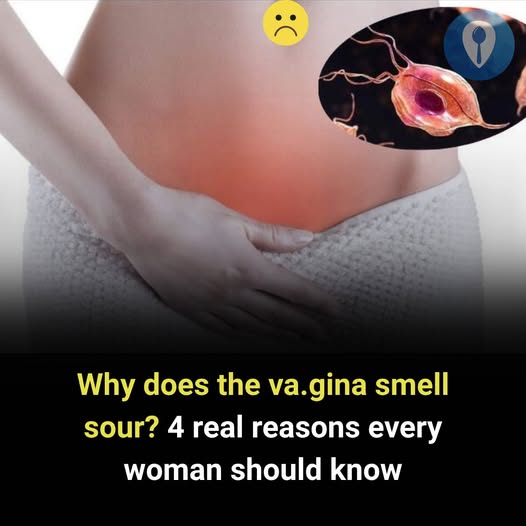 Why Does the Vag.ina Smell Sour? 4 Real Reasons Every Woman Should Know