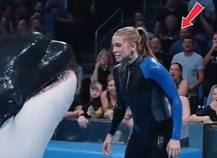 Unexpected Encounter as Orca Keeps Grip on Trainer in Performance