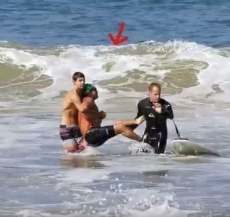 LEGEND LOST Iconic actor has died today after being mauled to death in a shark attack. the video is hard to watch