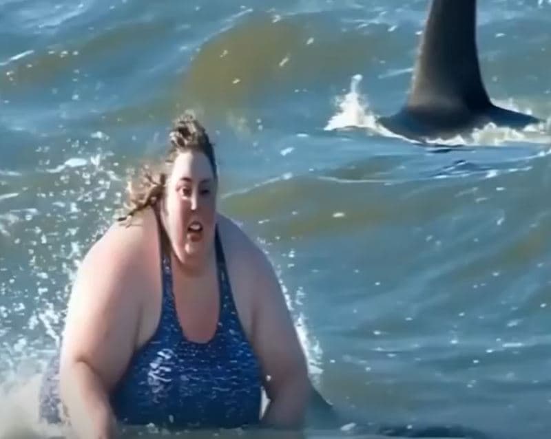 A shark suddenly attacked a woman… What happened next shocked the witnesses
