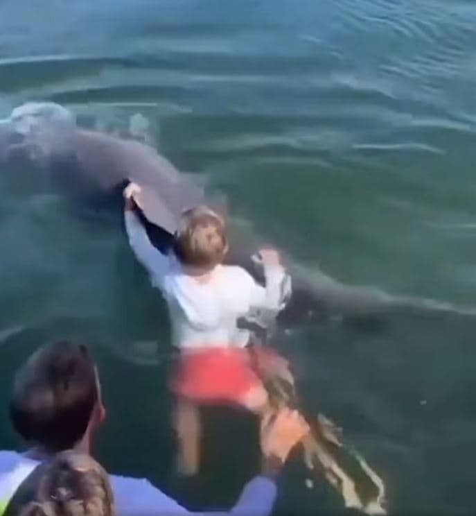 “Unbelievable!” – Child Rides a Dolphin Like It’s Straight Out of a Movie