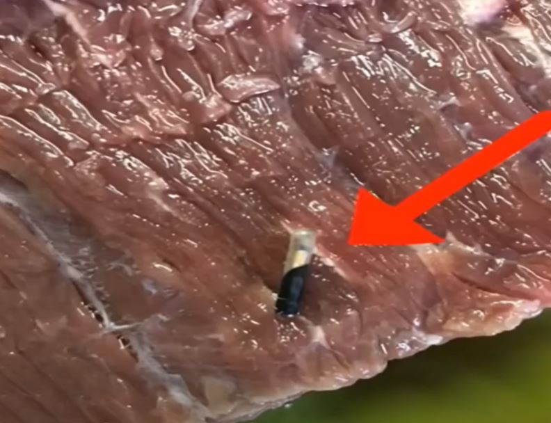 I bought meat at the store, and inside there was something strange: I was horrified when I realized what it was and how it ended up in my meat