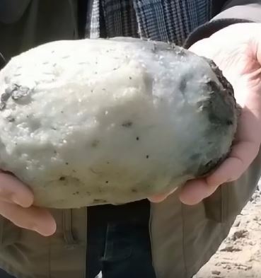 Couple Stunned After Stumbling Across “Weird Stone” On The Beach – And It Could Be Worth £50,000
