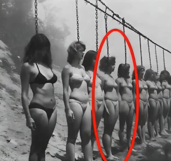 This Photo Captured Something Truly Shocking — You Won’t Believe What’s Staring Back at You