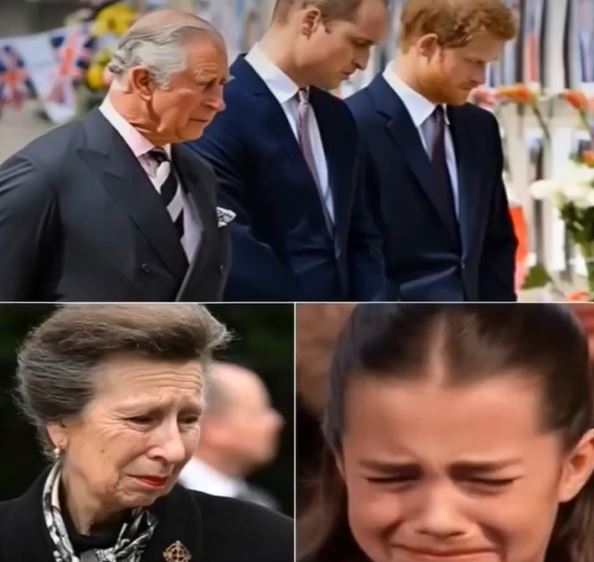 14 Minutes Ago: Prince Harry Rushed Home—What Princess Anne Said Left Everyone in Tears