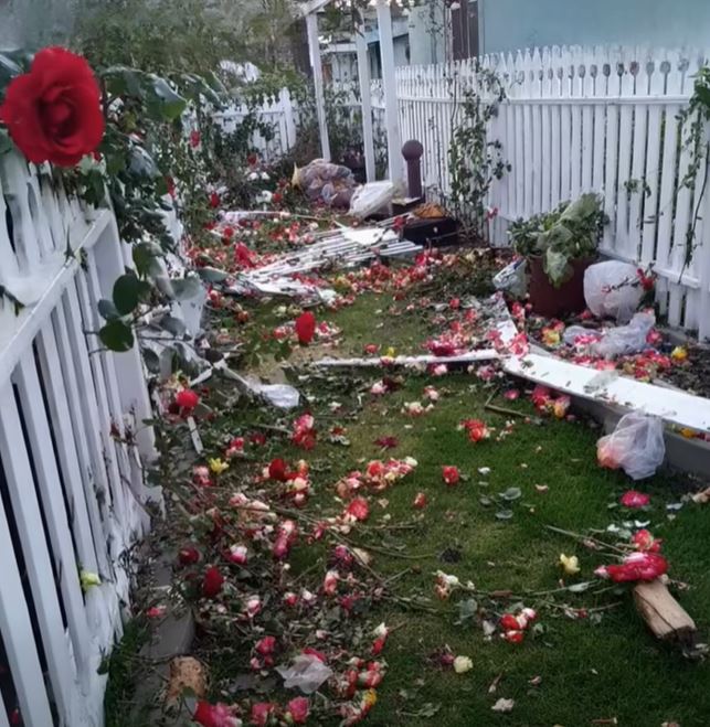 How I Responded When My Yard Was Changed for a Wedding