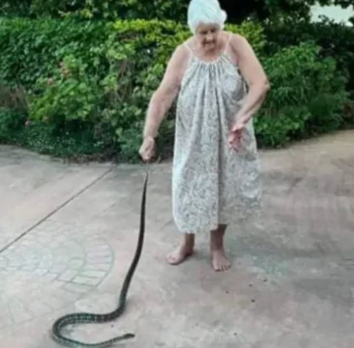 Aussie woman, 80, cops three ‘nasty’ bites freeing puppy from python