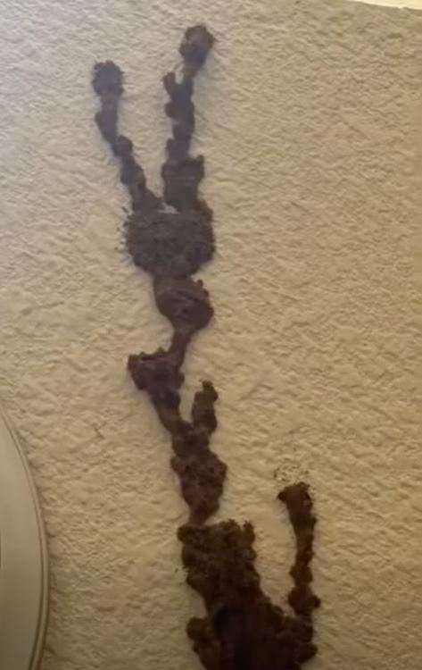 The Hidden Problem Behind an Everyday Wall