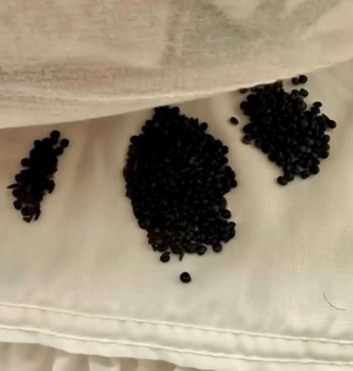 I Found Something Strange Under My Mattress—And What It Turned Out To Be Completely Blew My Mind
