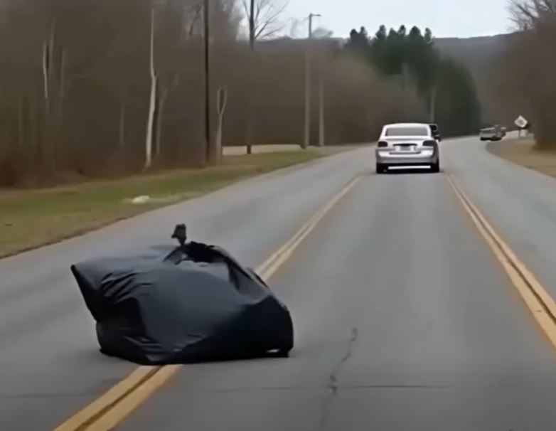 A driver threw a trash bag out of the window, and we were shocked to discover what was inside