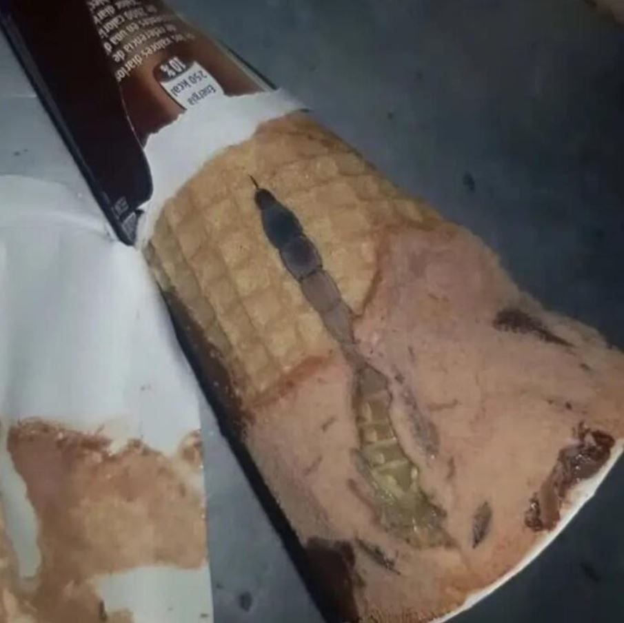 A Simple Ice Cream Led to a Beautiful Life Lesson