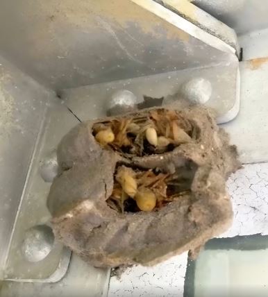 What I Found in the Old Garage Froze My Blood: A Story That Should Have Stayed Hidden