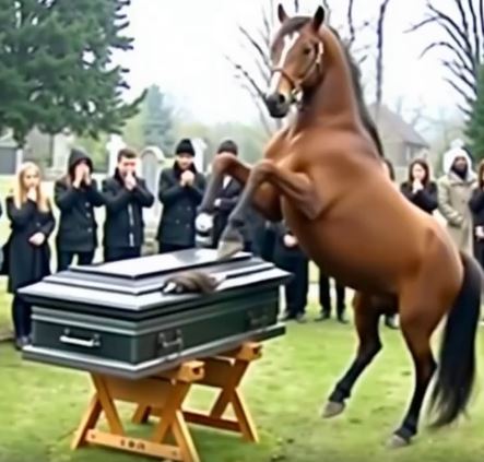On the day of my husband’s funeral, his horse broke the lid of the coffin.