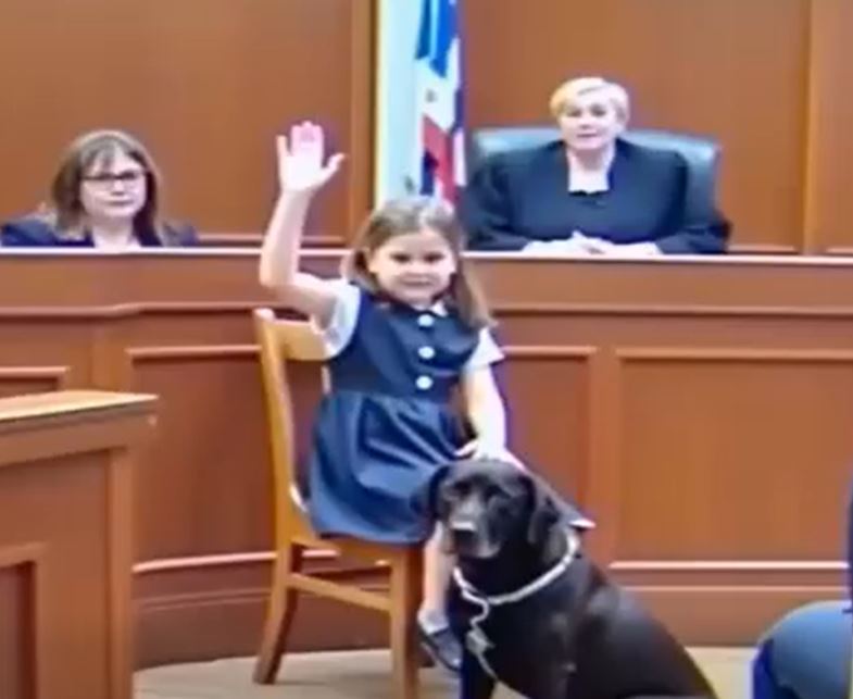 She Had No Voice in Court — Until Her Dog Gave Her One