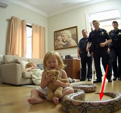 Through her tears, a little girl called 911 and said, “My stepdad’s big snake hurt