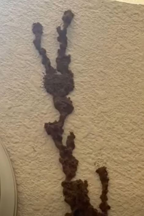 The Hidden Problem Behind an Everyday Wall