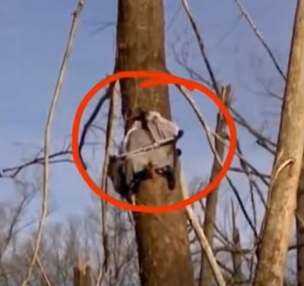 The Baby Lifted by the Storm: How One Tennessee Family Found Hope After Unimaginable Chaos