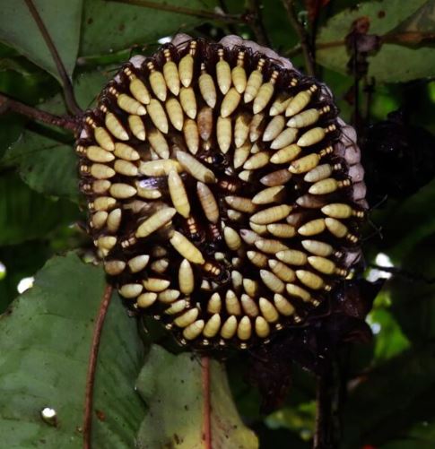 The day changed the moment I found that strange object in the yard, before I knew what secret was hidden inside.