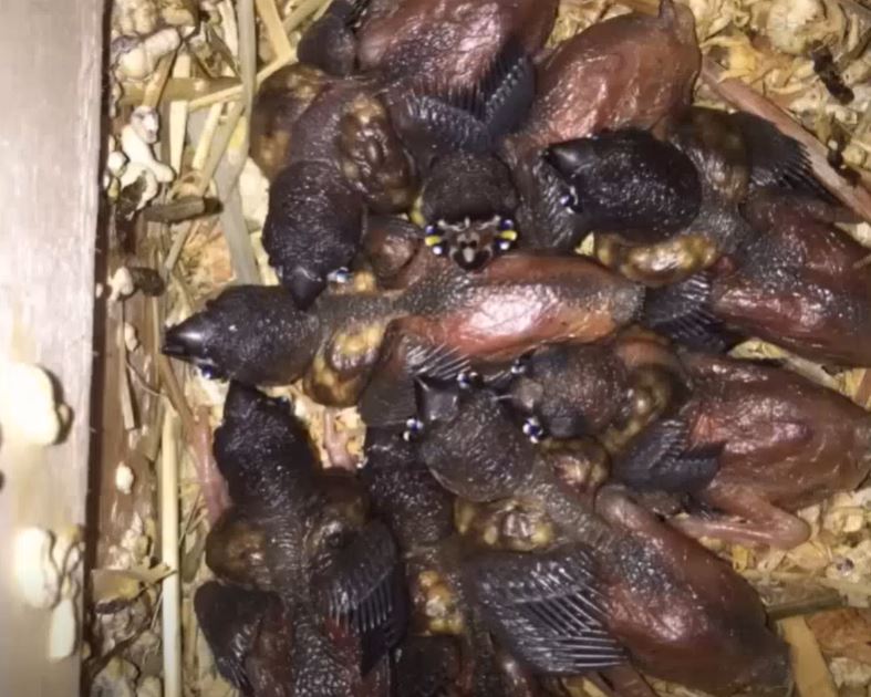 That day I found something that changed my life: for a long time I didn’t understand what was hidden in those little creatures… until the truth was revealed.