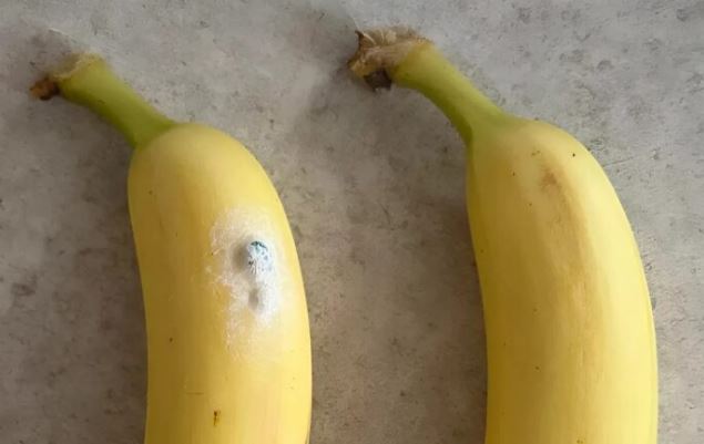 I noticed something strange on the banana, and I was surprised and breathless when I found out what it was.
