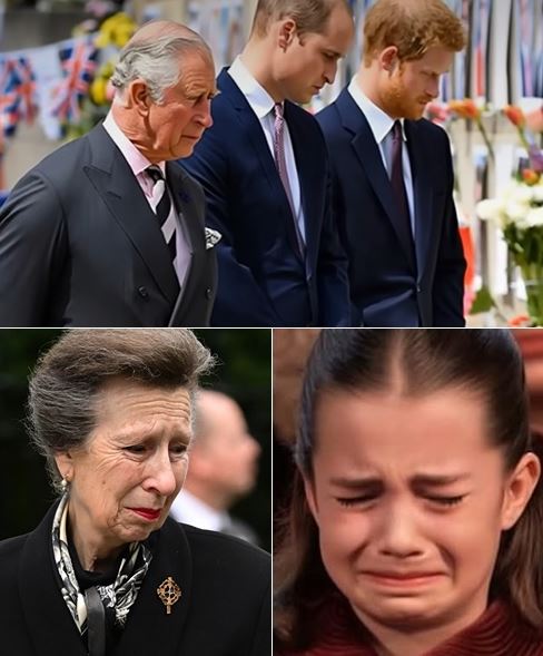 14 MINUTES AGO! “Everyone, bow your heads…” — Princess Anne’s trembling words echoed through the Grand Hall, bringing the entire Palace to tears.