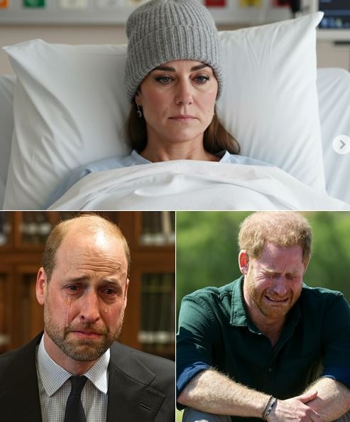 5 HOURS AGO! From across the ocean, Prince Harry sent his condolences after Buckingham Palace confirmed crucial news about Princess Kate’s health.