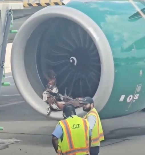 🚨 BREAKING: Horror on the Tarmac — Frontier Plane’s Engine Shredded Before Takeoff