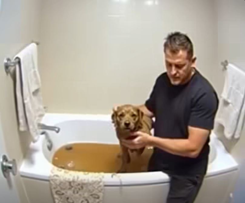 I saved a dirty, miserable animal, thinking it was just an ordinary puppy