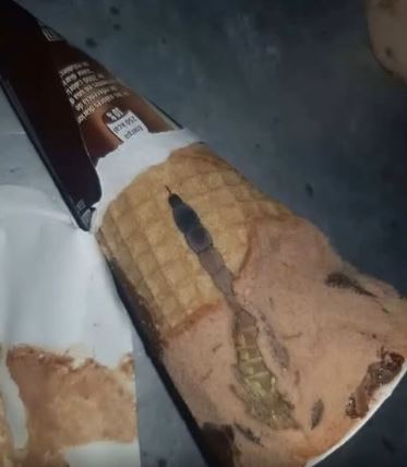 How a Simple Ice Cream Taught Me a Life Lesson