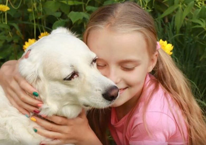 A Silent Woman, a Loyal Dog, and a Shocking Courtroom Turn