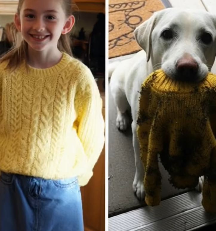 My Dog Brought Me My Late Daughter’s Police-Seized Sweater—Then Led Me Somewhere That Froze Me In Place