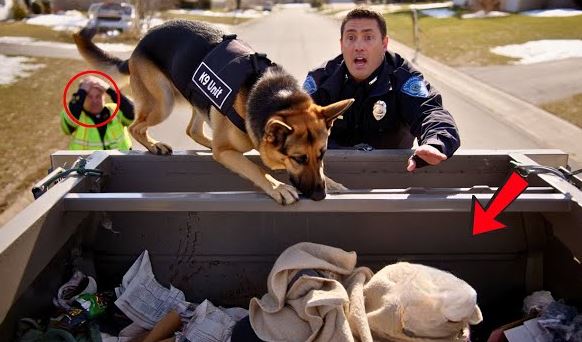 Police Dog Alerts Team to Garbage Truck — Discovery Leads to Baby’s Rescue