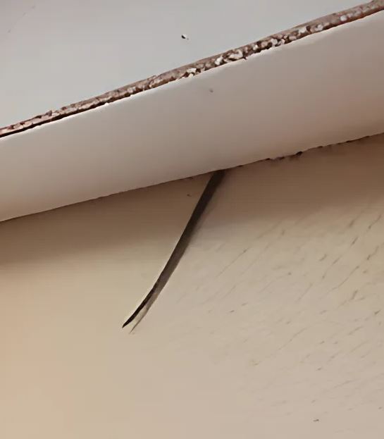 The man noticed something very strange sticking out from the ceiling; he was terrified when he realized what it was.