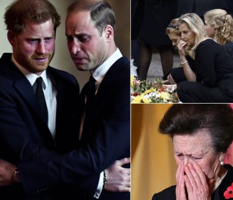 Heartbreaking — 1 MIN AGO! Harry rushed forward and collapsed into Prince William’s arms as Palace confirmed a ROYAL TRAGEDY.