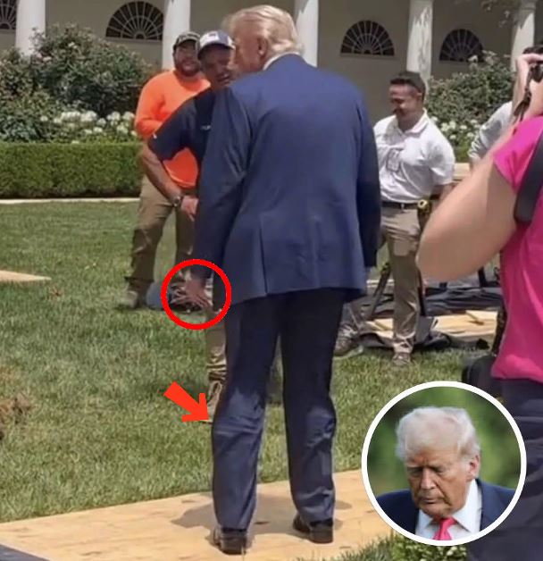 Trump’s walk to Marine One caught in photo leaves people talking after detail spotted