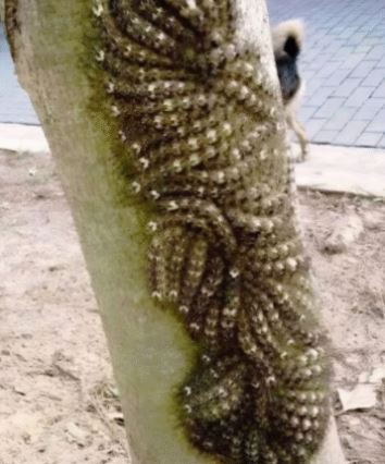 If you ever see something like this, do not touch it under any circumstances! Notify the authorities immediately!