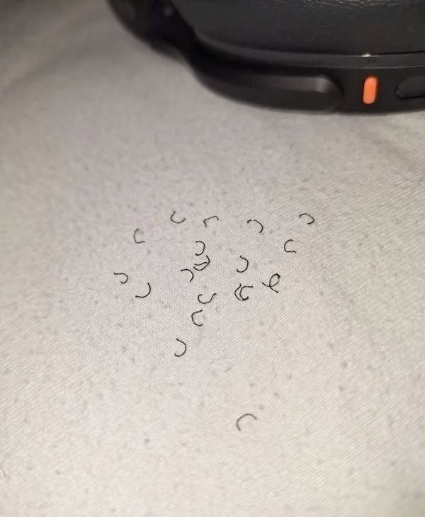 Woke Up To This On Your Bed? The Truth Will Shock You!