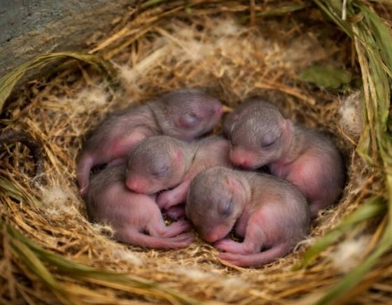 I went to the garage and there I encountered unexpected, strange creatures. When I realized what kind of babies they were, I was in shock from amazement.