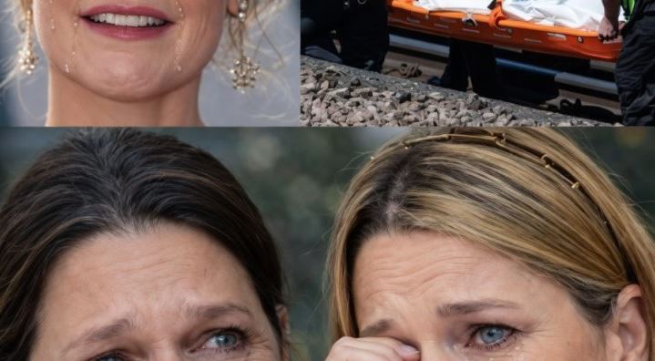 Suspect Identified in Arizona Abduction Case—Why Investigators Say the Evidence Changed Everything