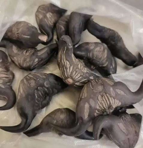 My Neighbor Gave Me a Bag of These—What Are They and How Do You Use Them?