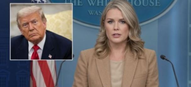 Leavitt Sets Media Straight With Fact-Check On Joe Biden